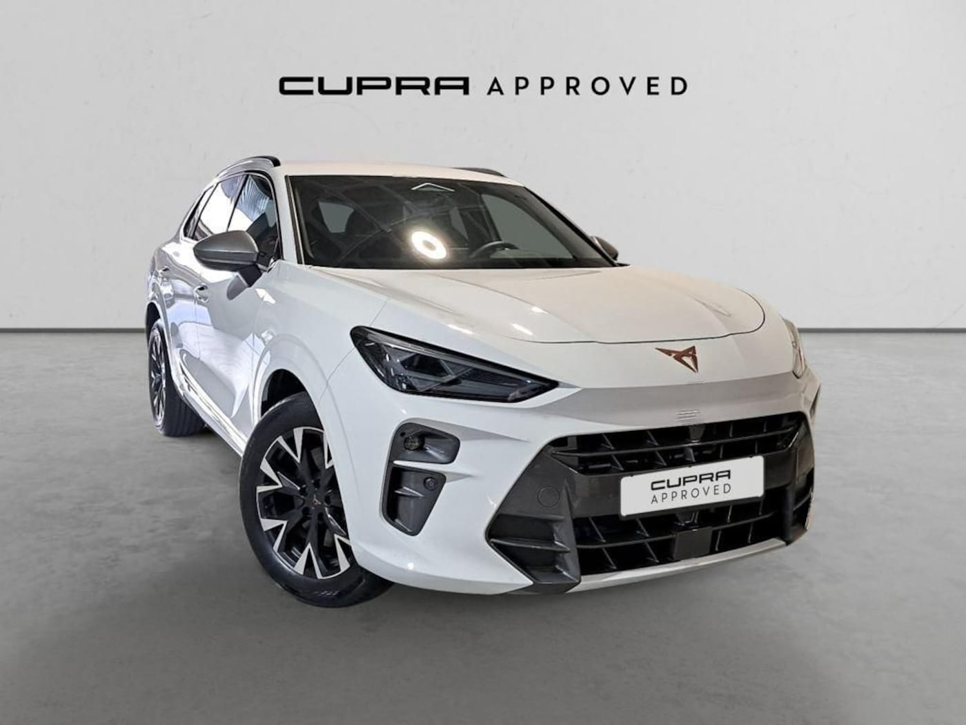 CUPRA Terramar 1.5 TSI e-Hybrid DSG 150 kW (204 CV) — photo 1