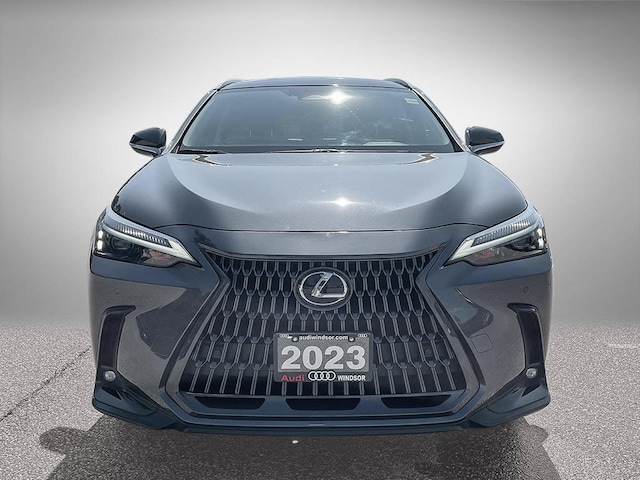 2023 Lexus NX 350