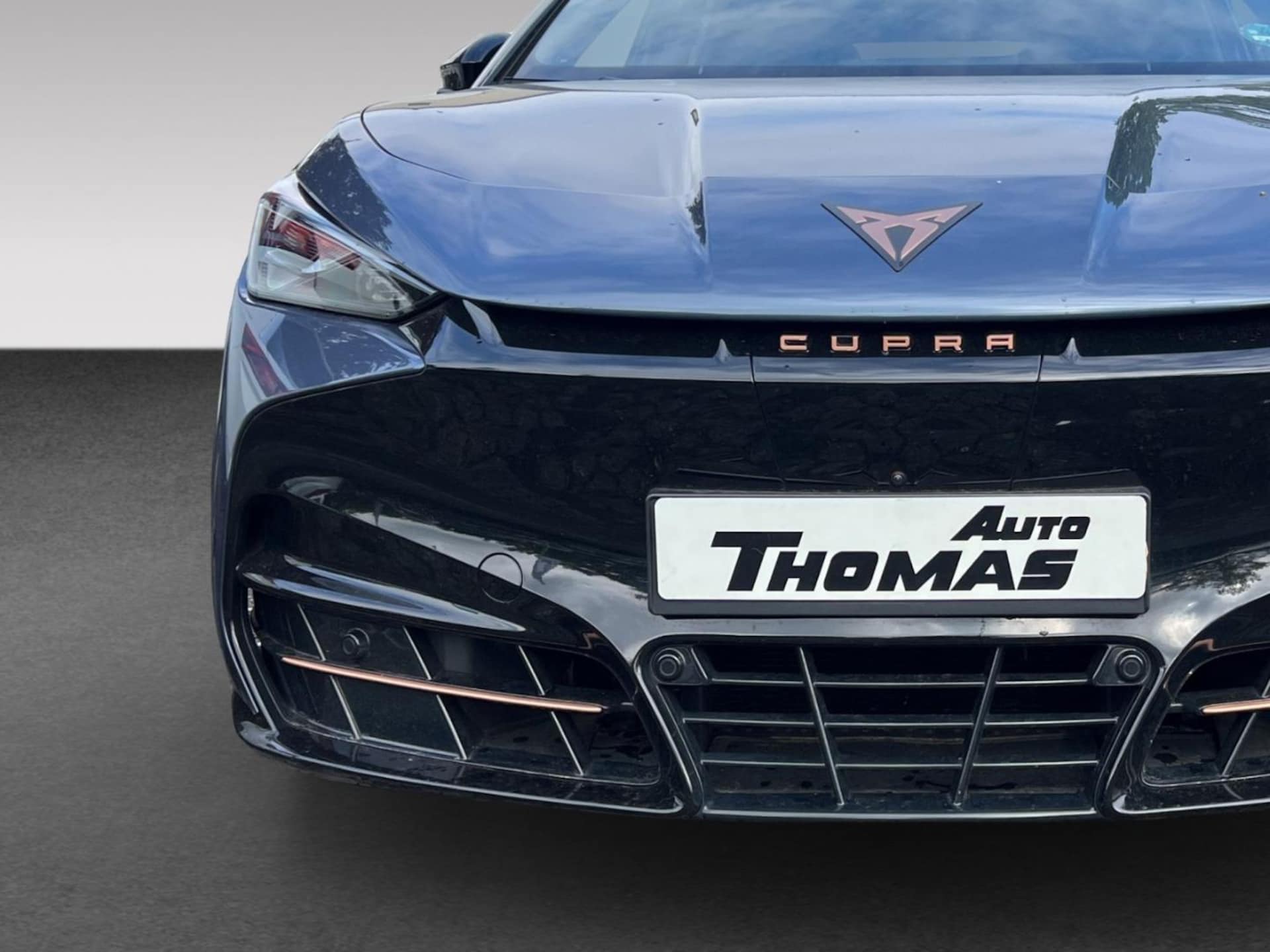 CUPRA Tavascan Endurance