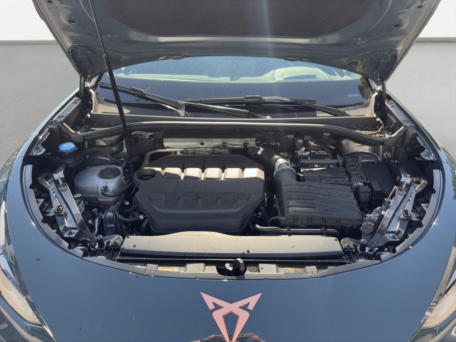CUPRA Terramar – Bild 16