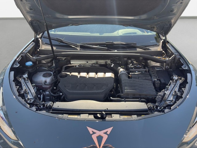 Bild des Autos 16