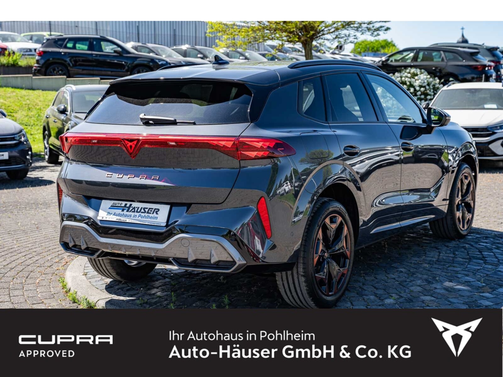 CUPRA Terramar – Bild 5