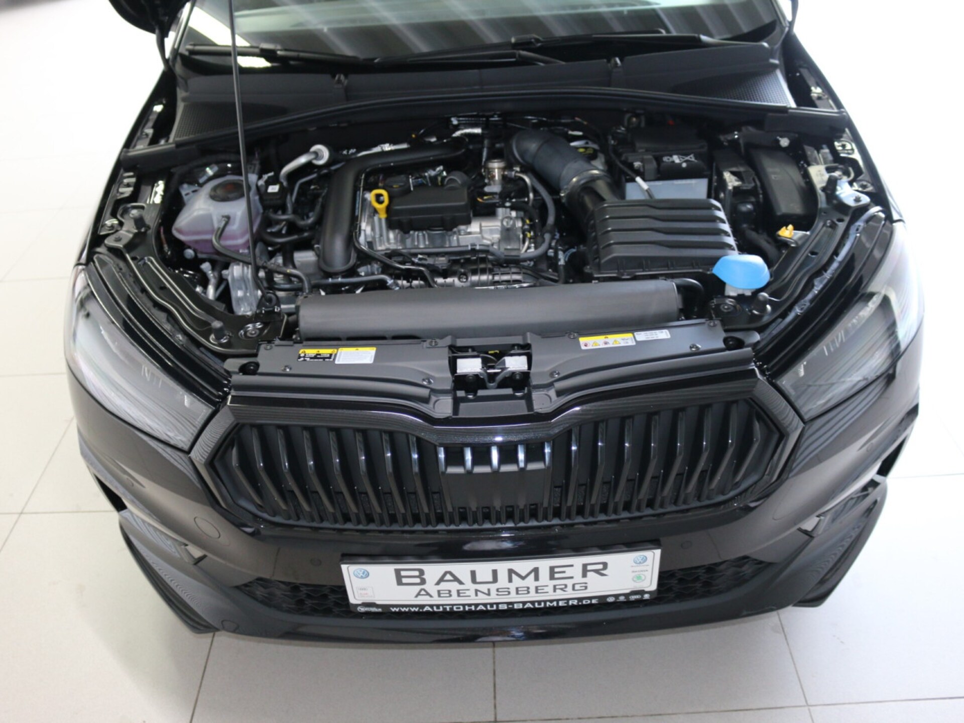 Skoda Fabia Monte Carlo
