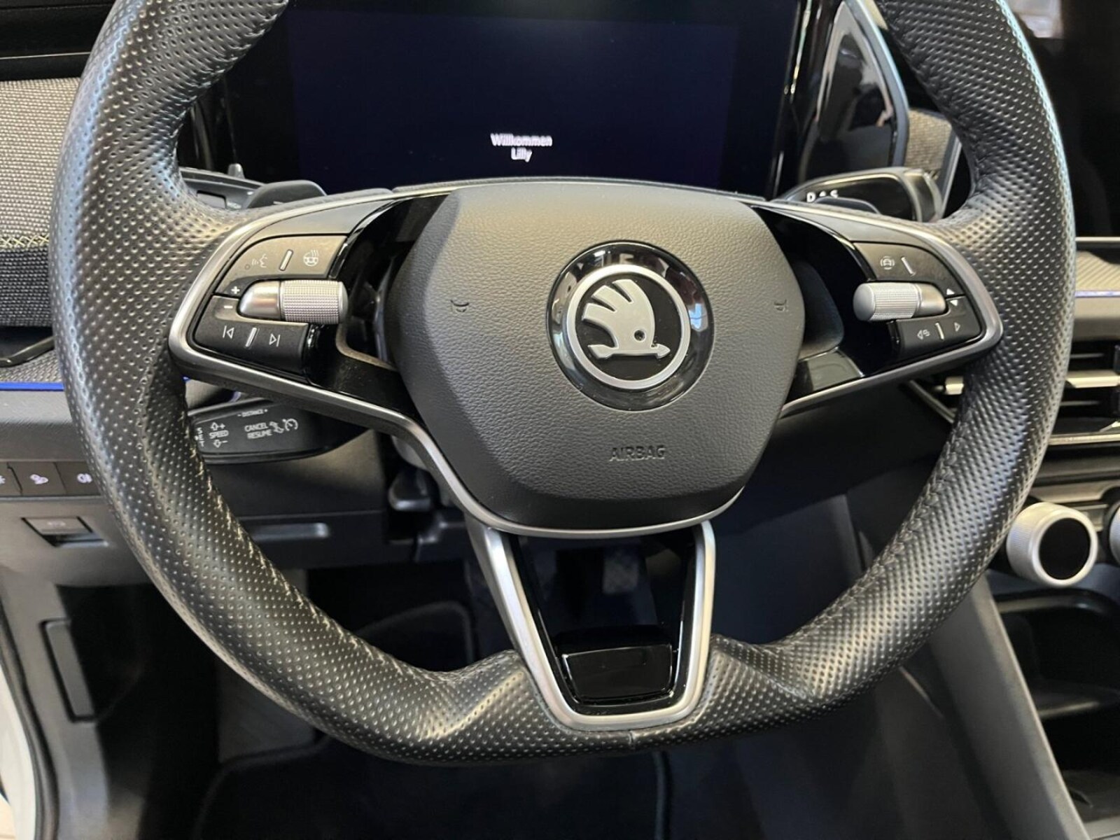 Škoda Kodiaq – Bild 23