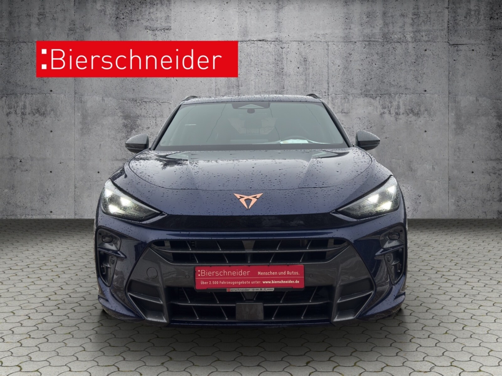 CUPRA Terramar – Bild 4