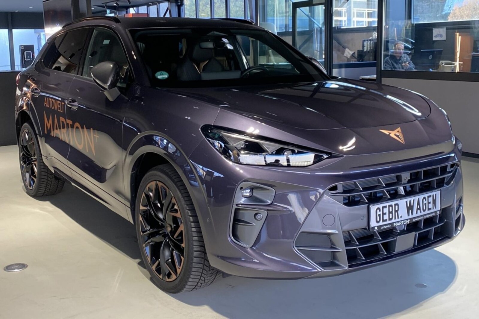 CUPRA Terramar – Bild 2