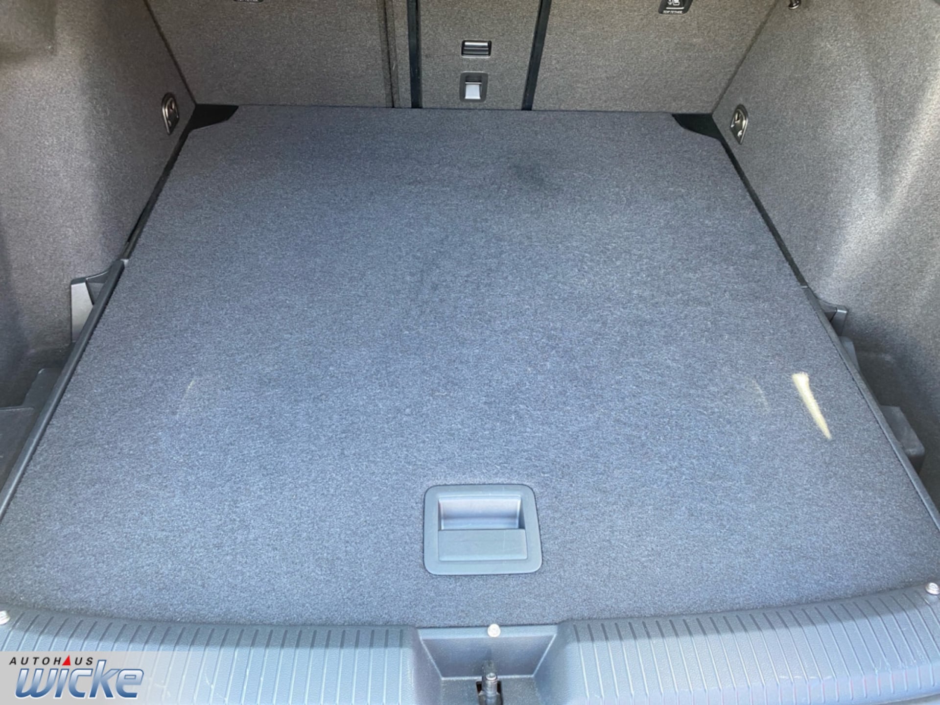 Volkswagen Golf Variant Style
