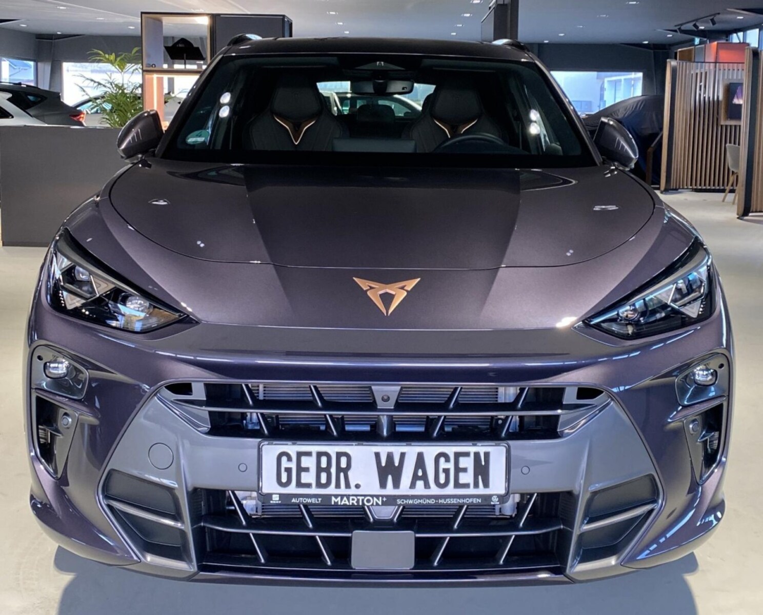 CUPRA Terramar – Bild 3