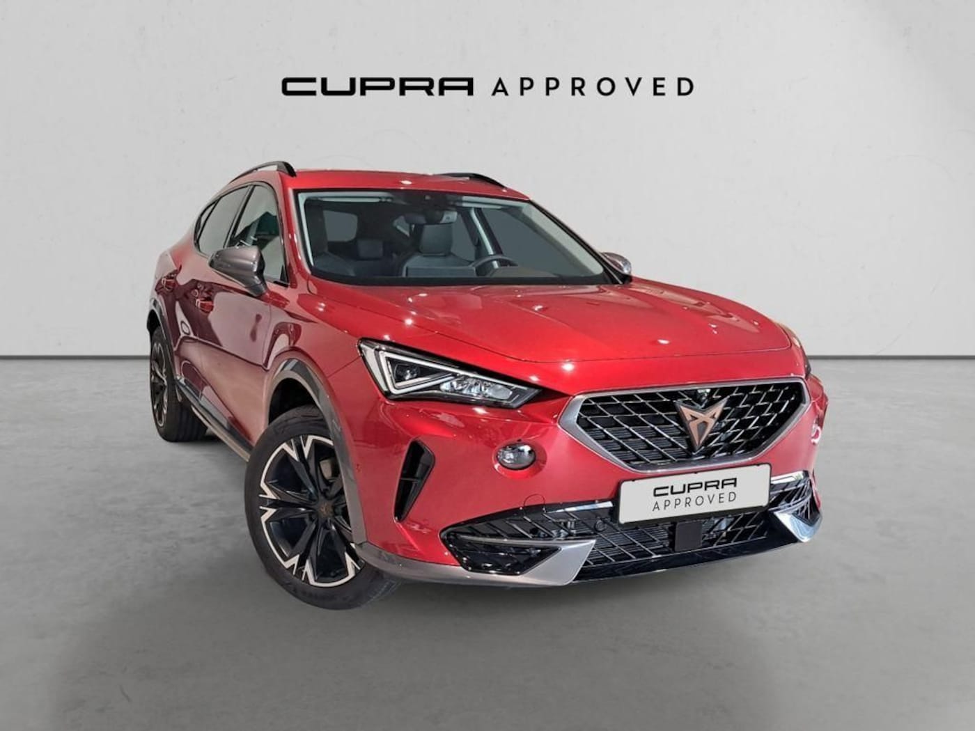 CUPRA Formentor 2.0 TDI 4Drive 110 kW (150 CV) DSG — photo 1