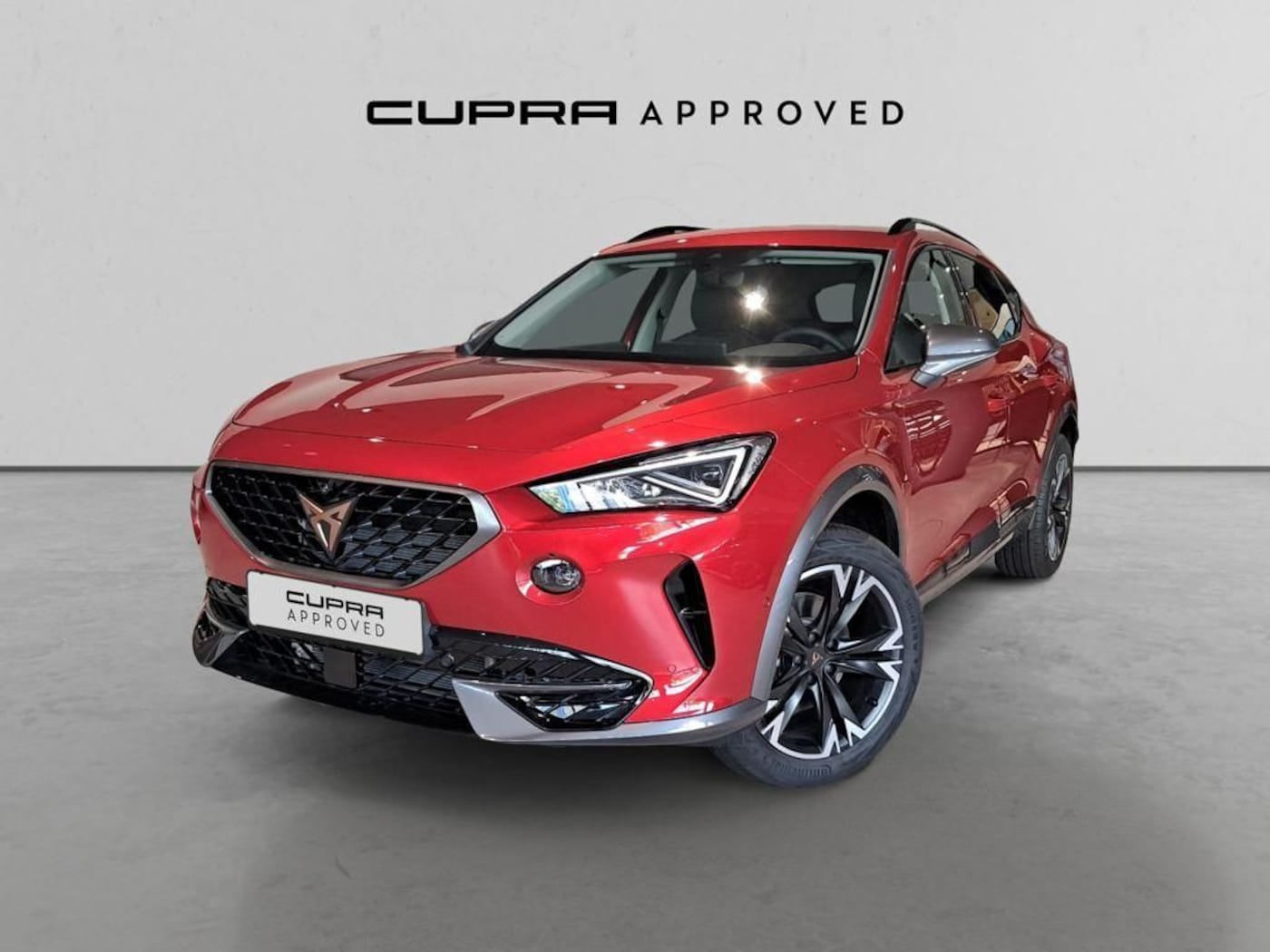 CUPRA Formentor 2.0 TDI 4Drive 110 kW (150 CV) DSG — photo 12