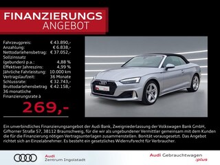 erstes Vorschaubild