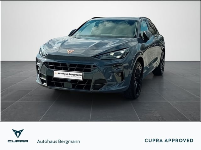 CUPRA Terramar 2.0 TSI 4Drive DSG (057_2417)