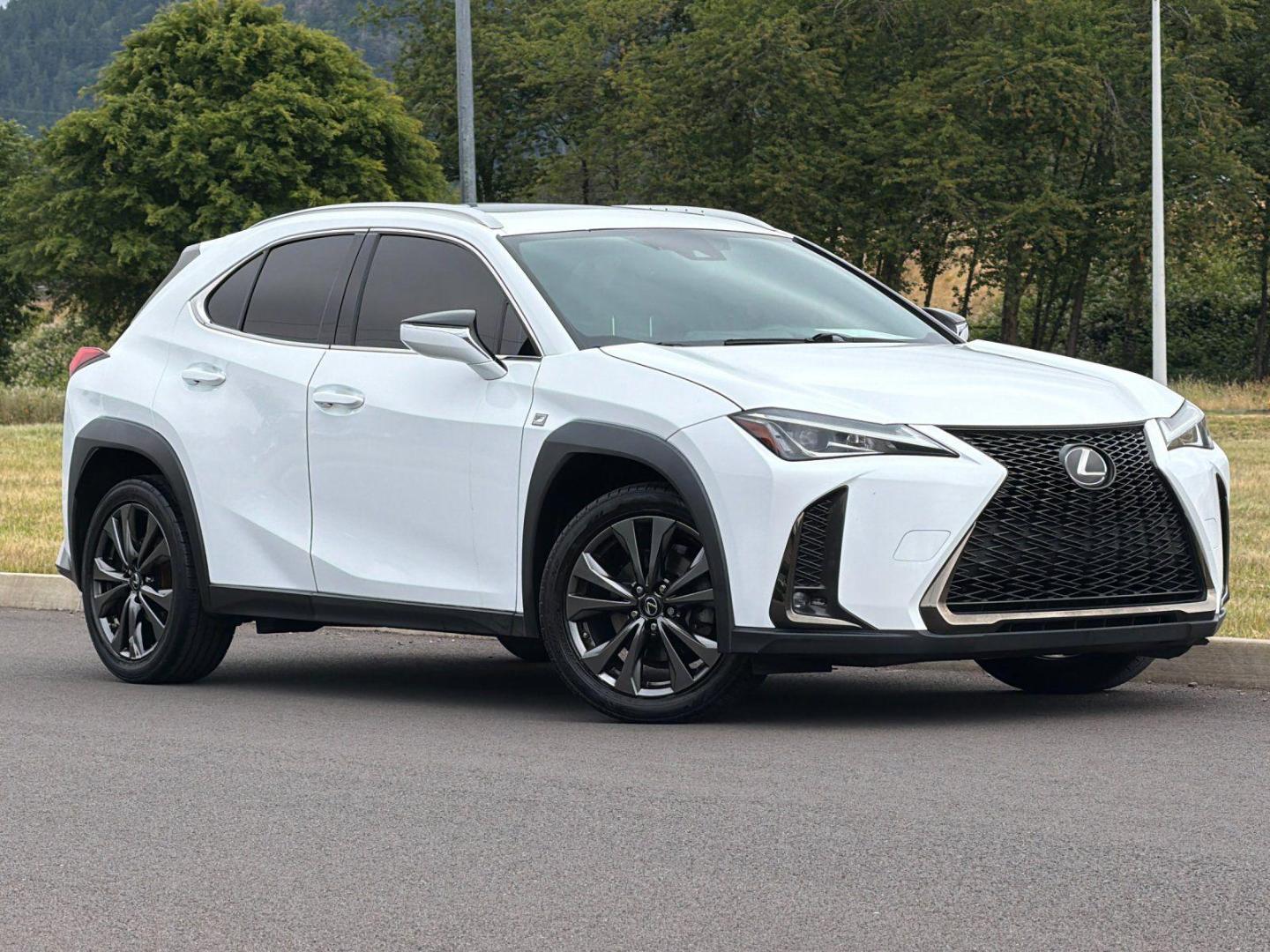 2019 Lexus UX 200 200 F SPORT FWD's photo