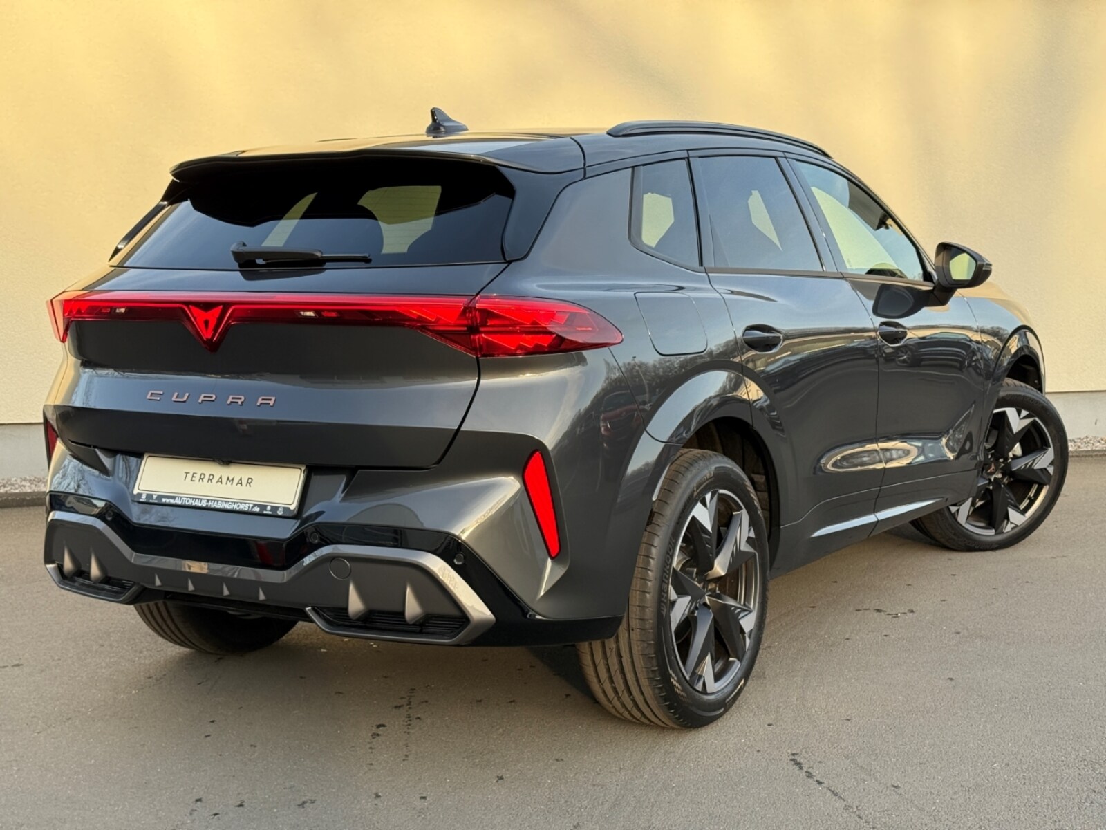CUPRA Terramar – Bild 2
