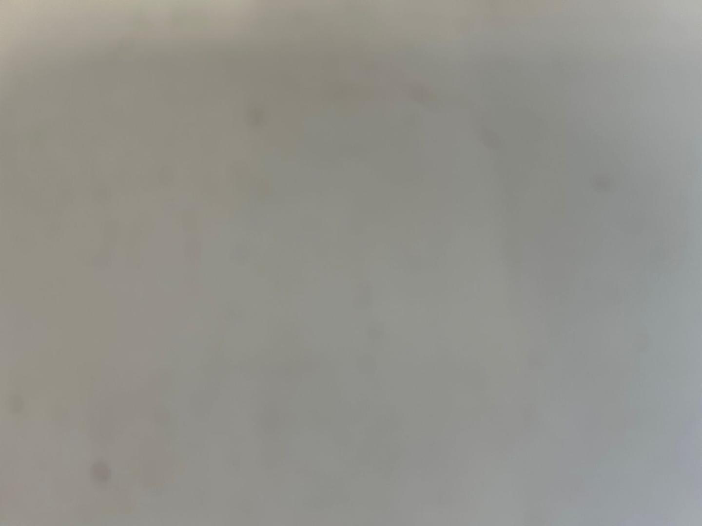 Image about Audi RS 6 Avant TFSI quattro tiptronic