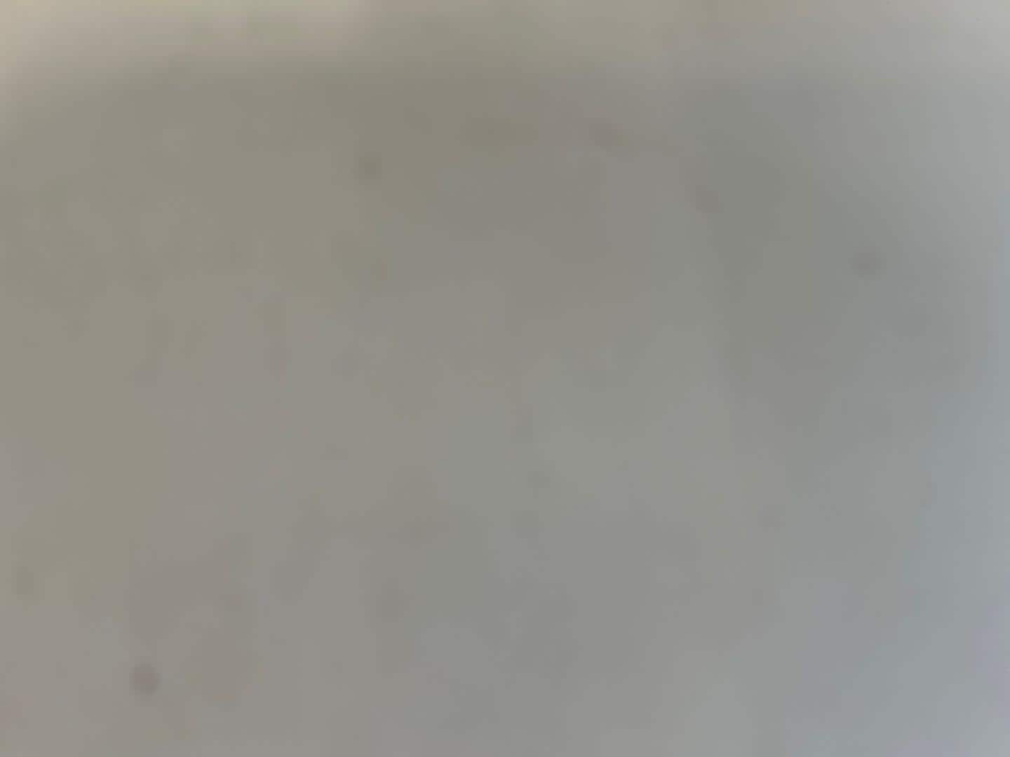 Image about Audi RS 6 Avant TFSI quattro tiptronic