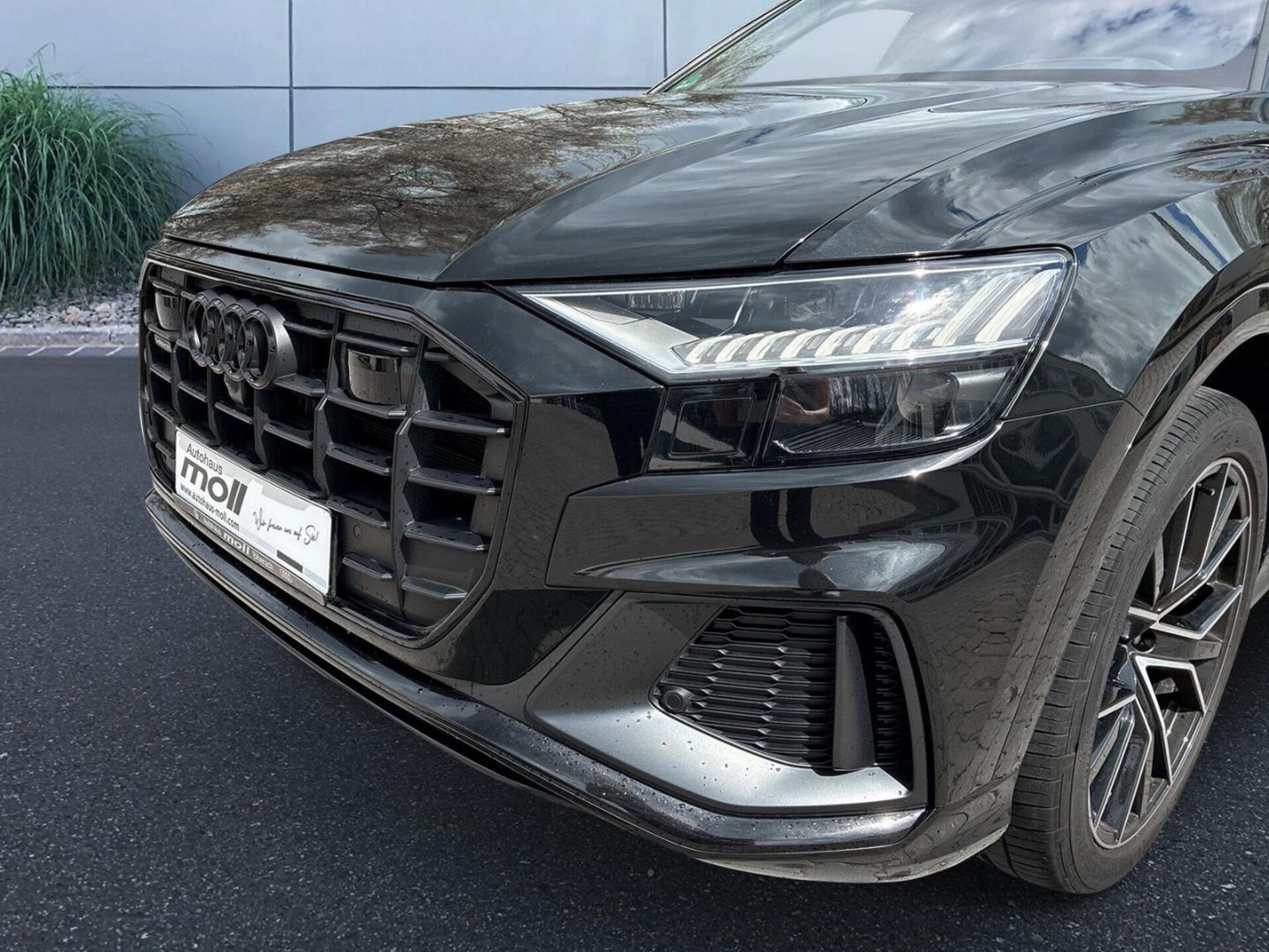 Audi Q8 SUV