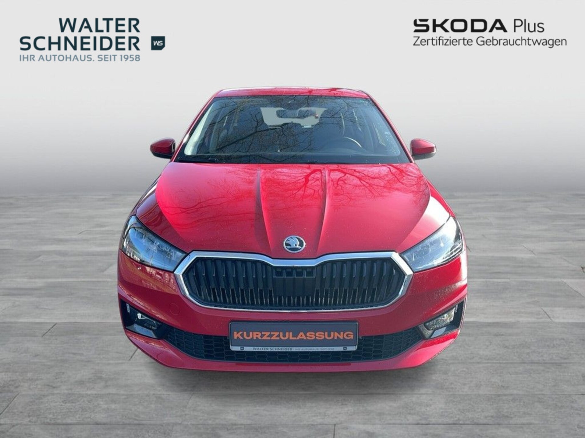 Skoda Fabia Selection