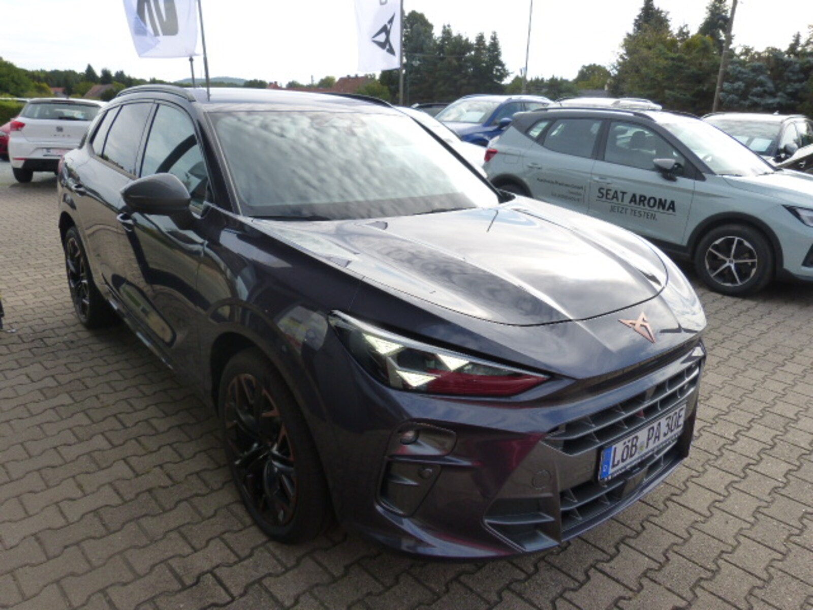 CUPRA Terramar – Bild 4