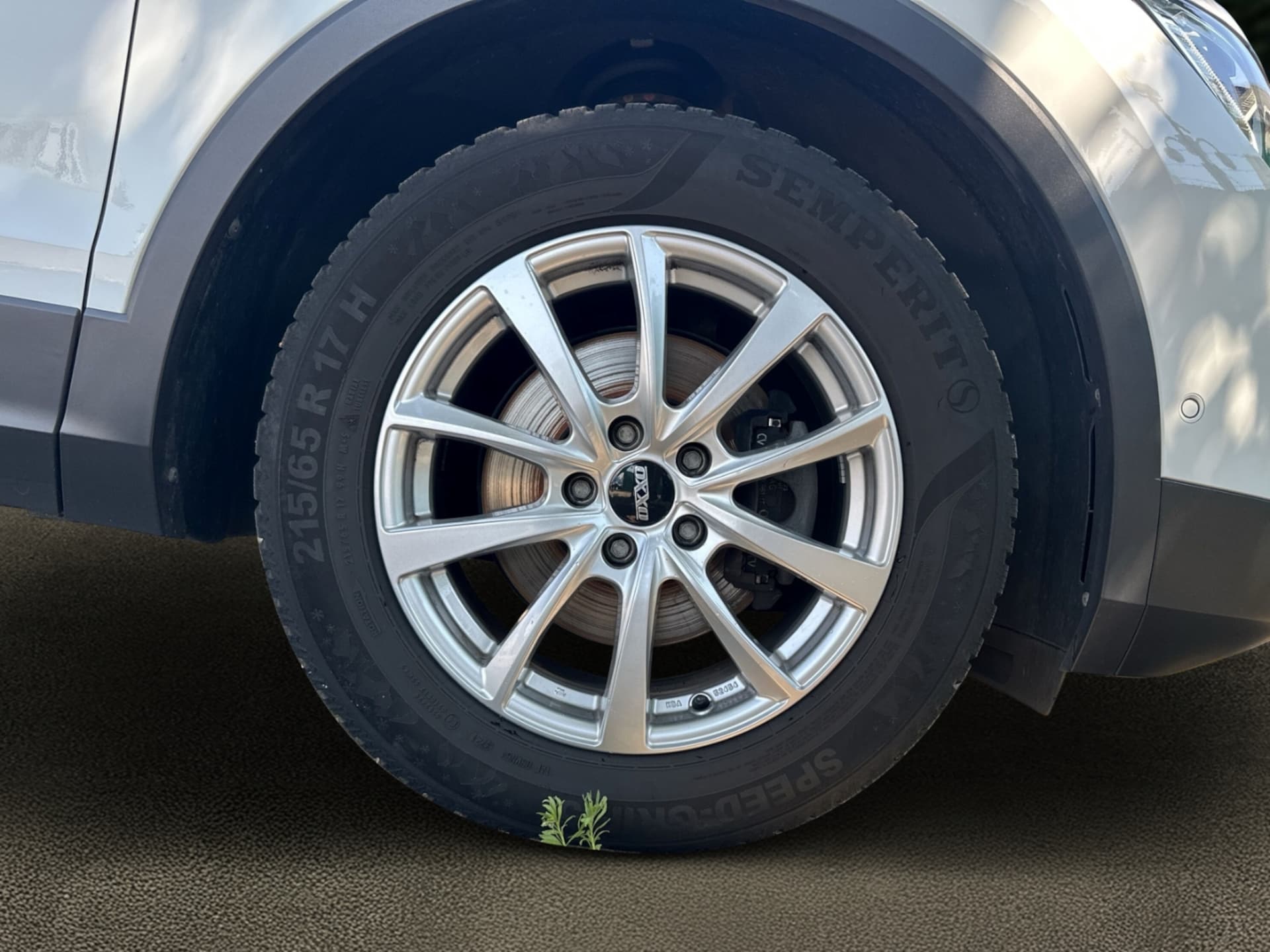 Volkswagen Tiguan Active
