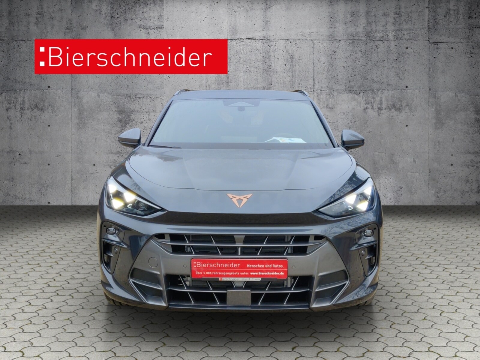 CUPRA Terramar – Bild 4