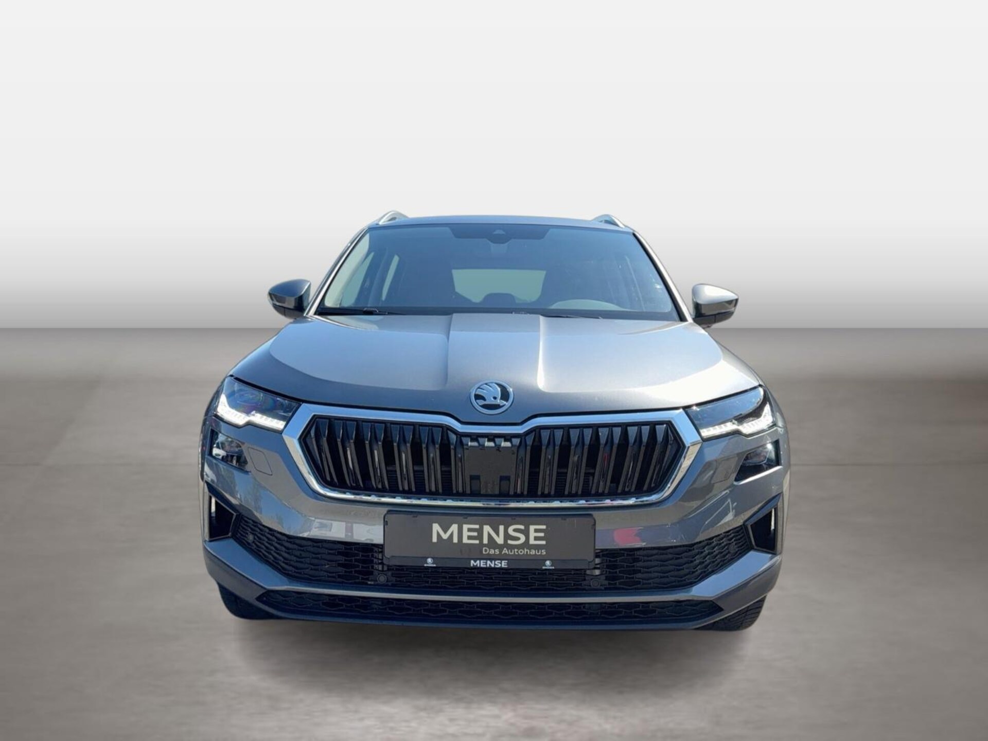 Skoda Karoq Selection
