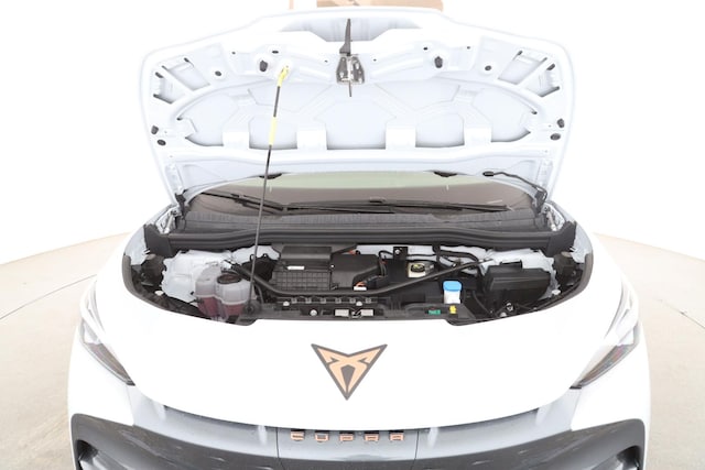 Bild des Autos 12