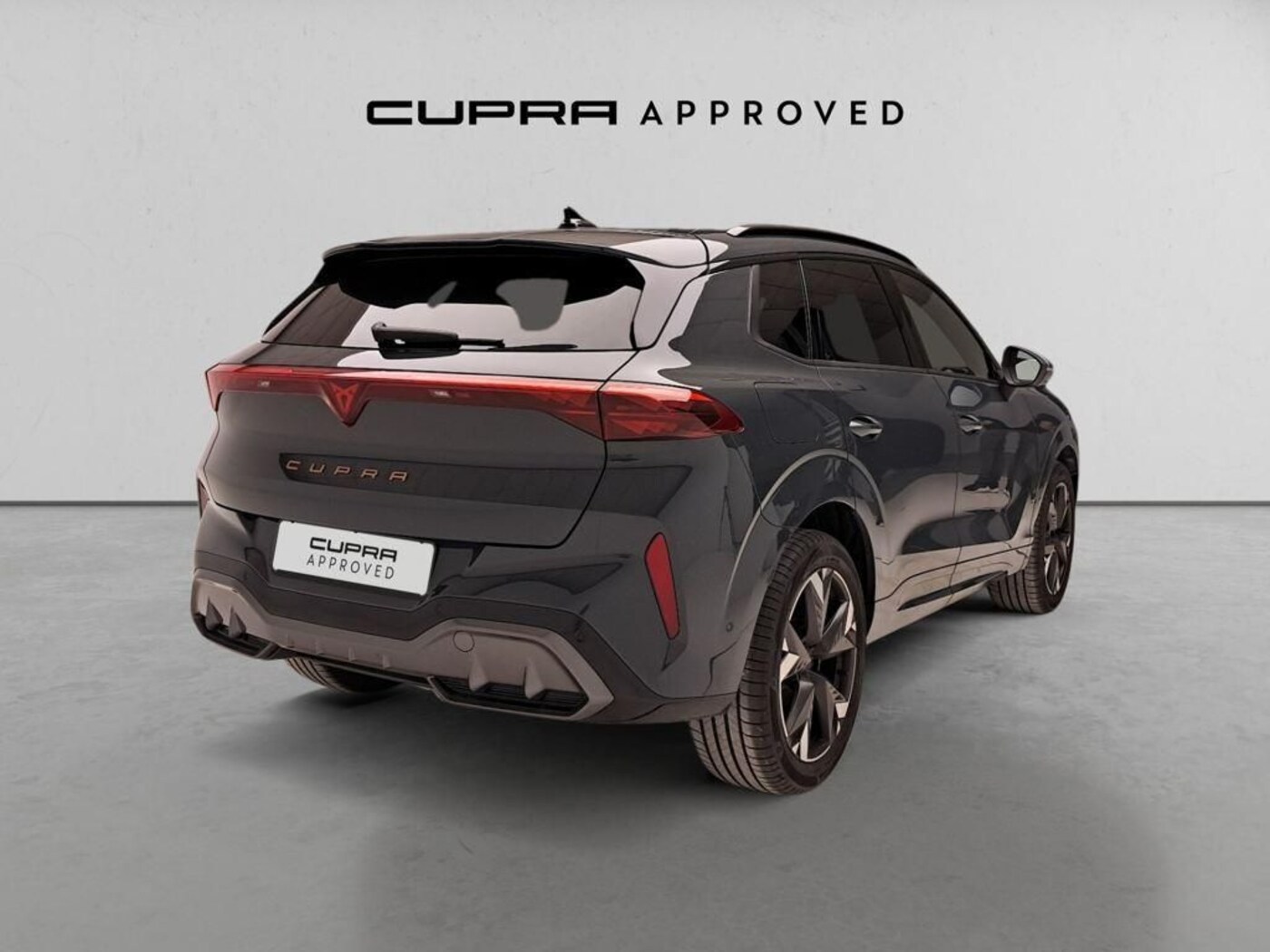CUPRA Terramar 1.5 eTSI DSG 110 kW (150 CV) — photo 14