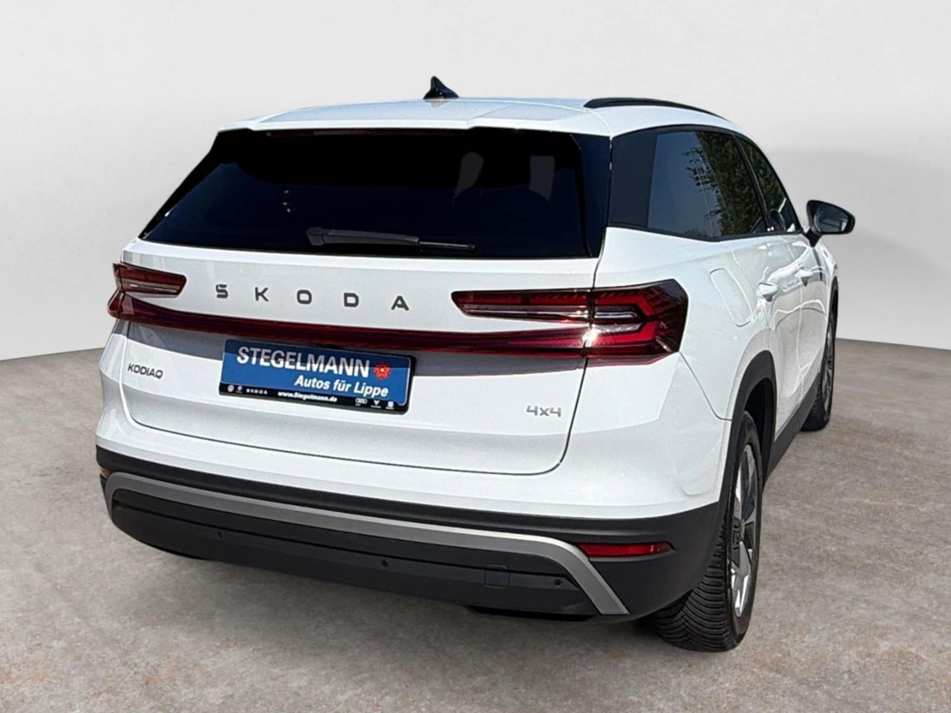 Skoda Kodiaq Selection