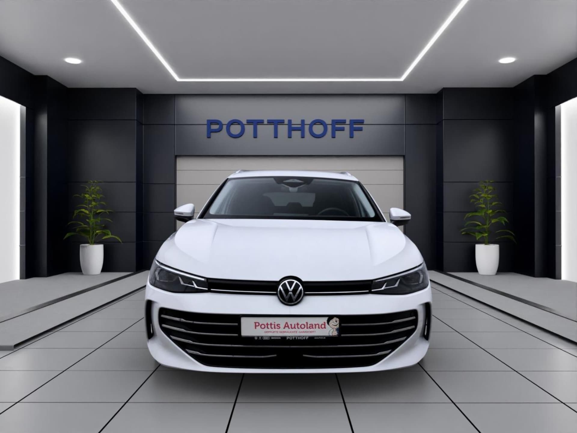 Volkswagen Passat Business