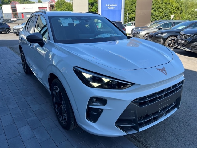 Bild des Autos 3