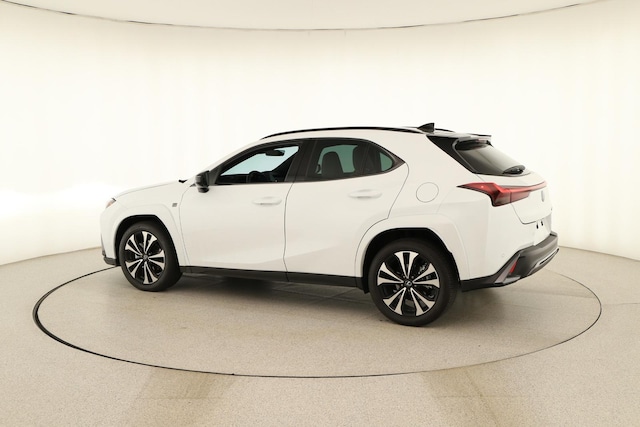 2025 Lexus UX 300h