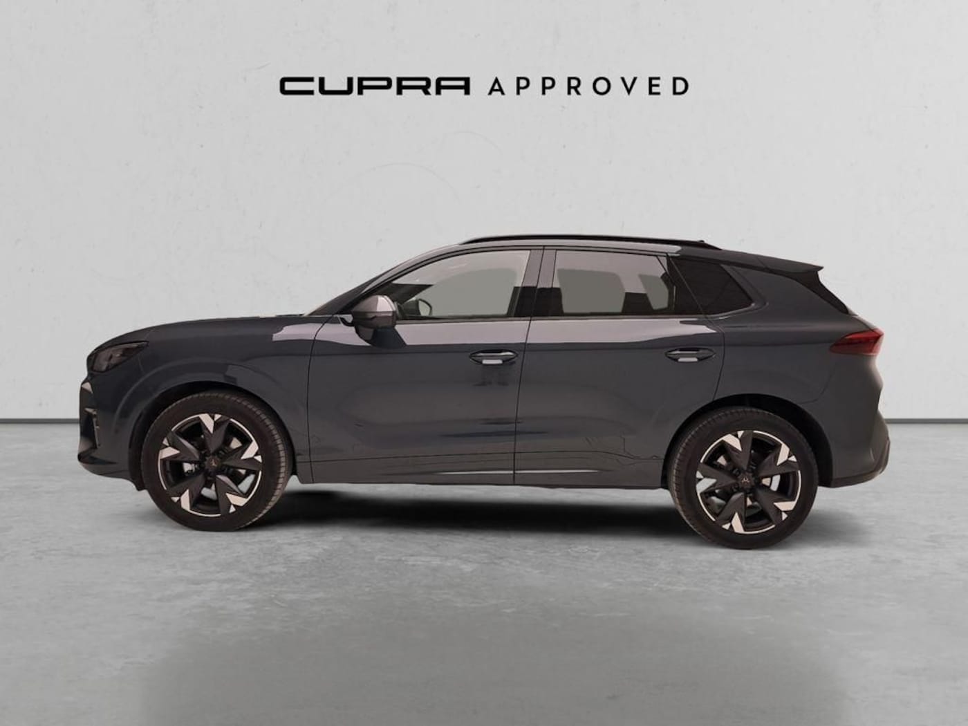 CUPRA Terramar 1.5 eTSI DSG 110 kW (150 CV) — photo 15