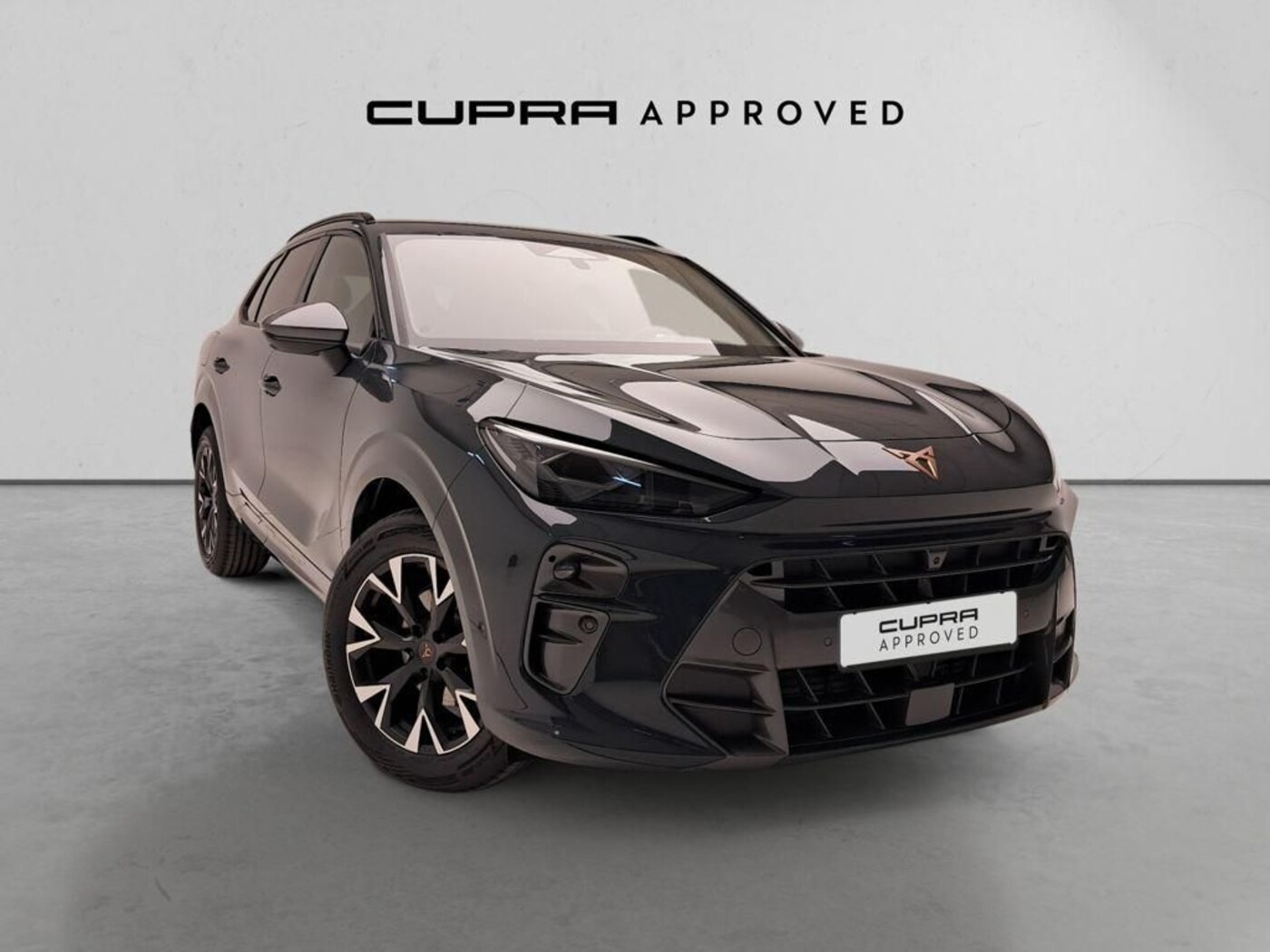 CUPRA Terramar 1.5 eTSI DSG 110 kW (150 CV) — photo 1