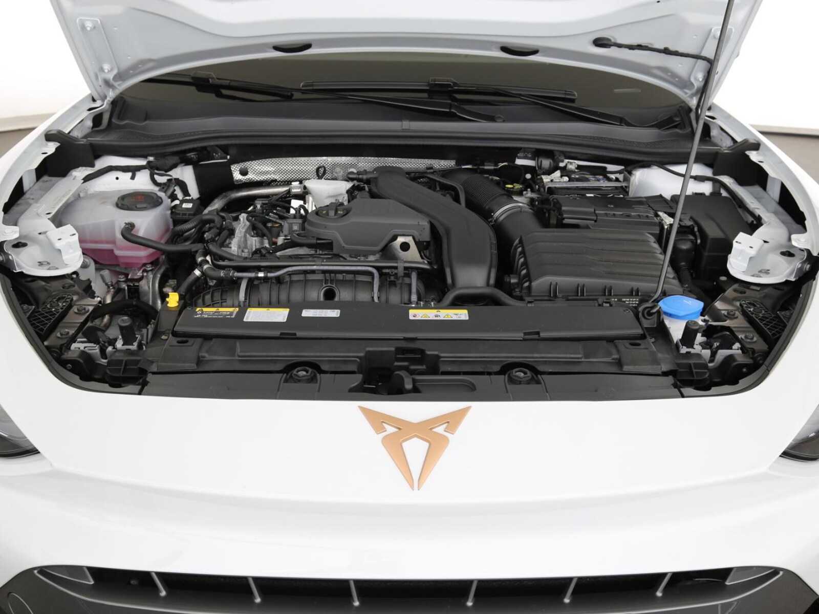 CUPRA Leon Sportstourer – Bild 29