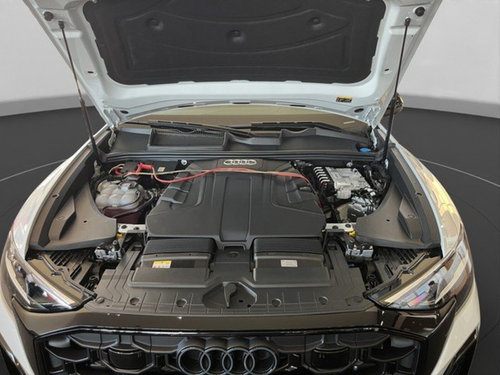 Audi Q8 – Bild 15