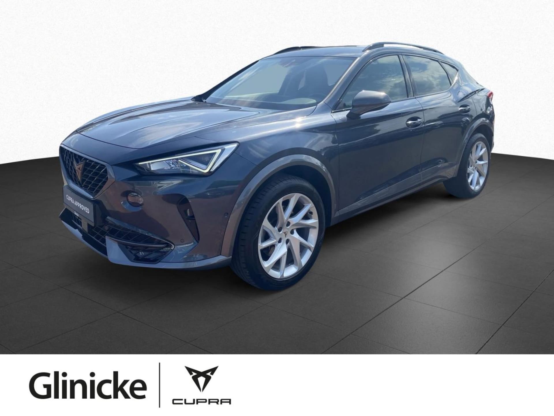 Cupra Formentor 2023 — Formentor 1.5 TSI DSG Navi ACC LED RFK AHK Sitzh