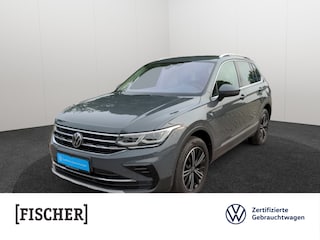 erstes Vorschaubild