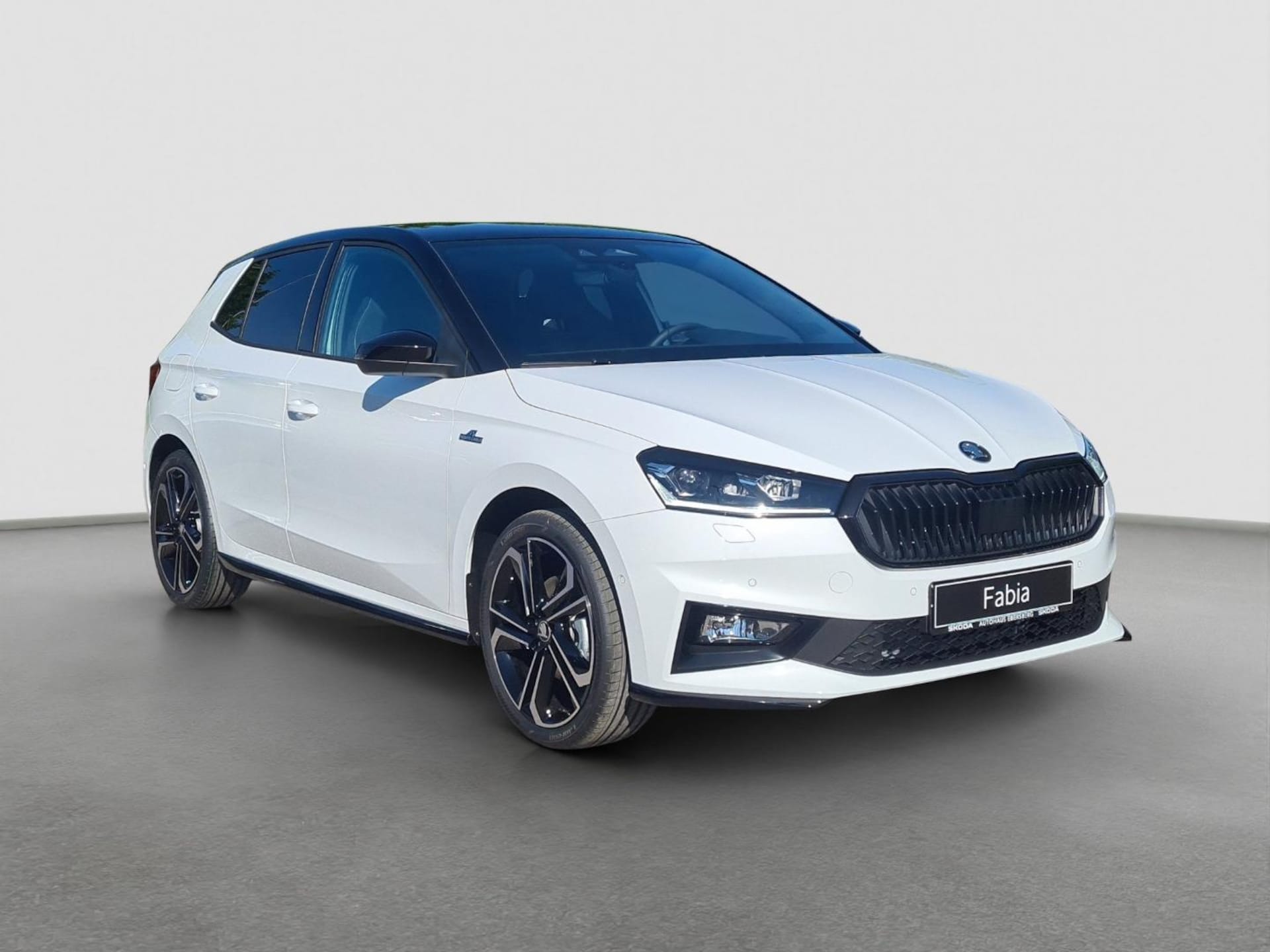 Skoda Fabia Monte Carlo
