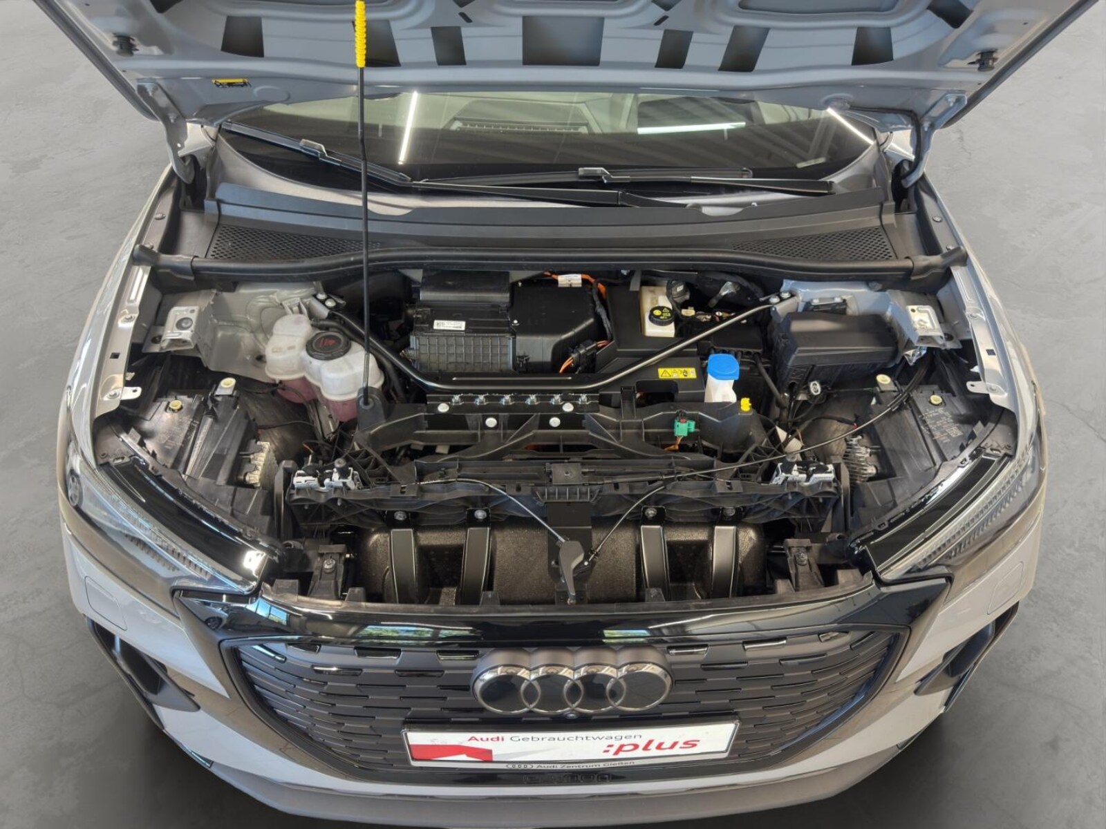 Audi Q4 e-tron – Bild 10
