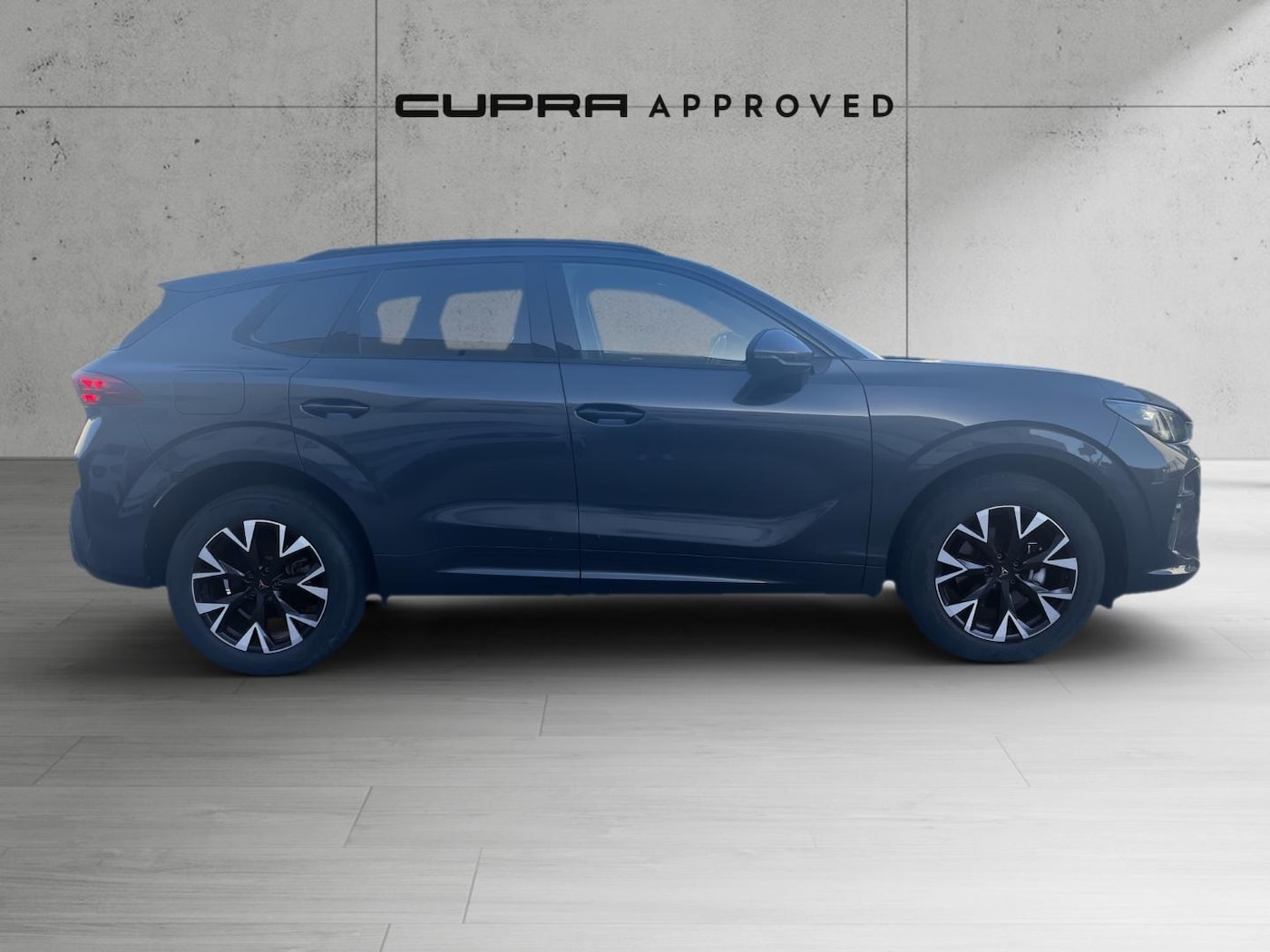 CUPRA Terramar 1.5 eTSI DSG 110 kW (150 CV) — photo 3