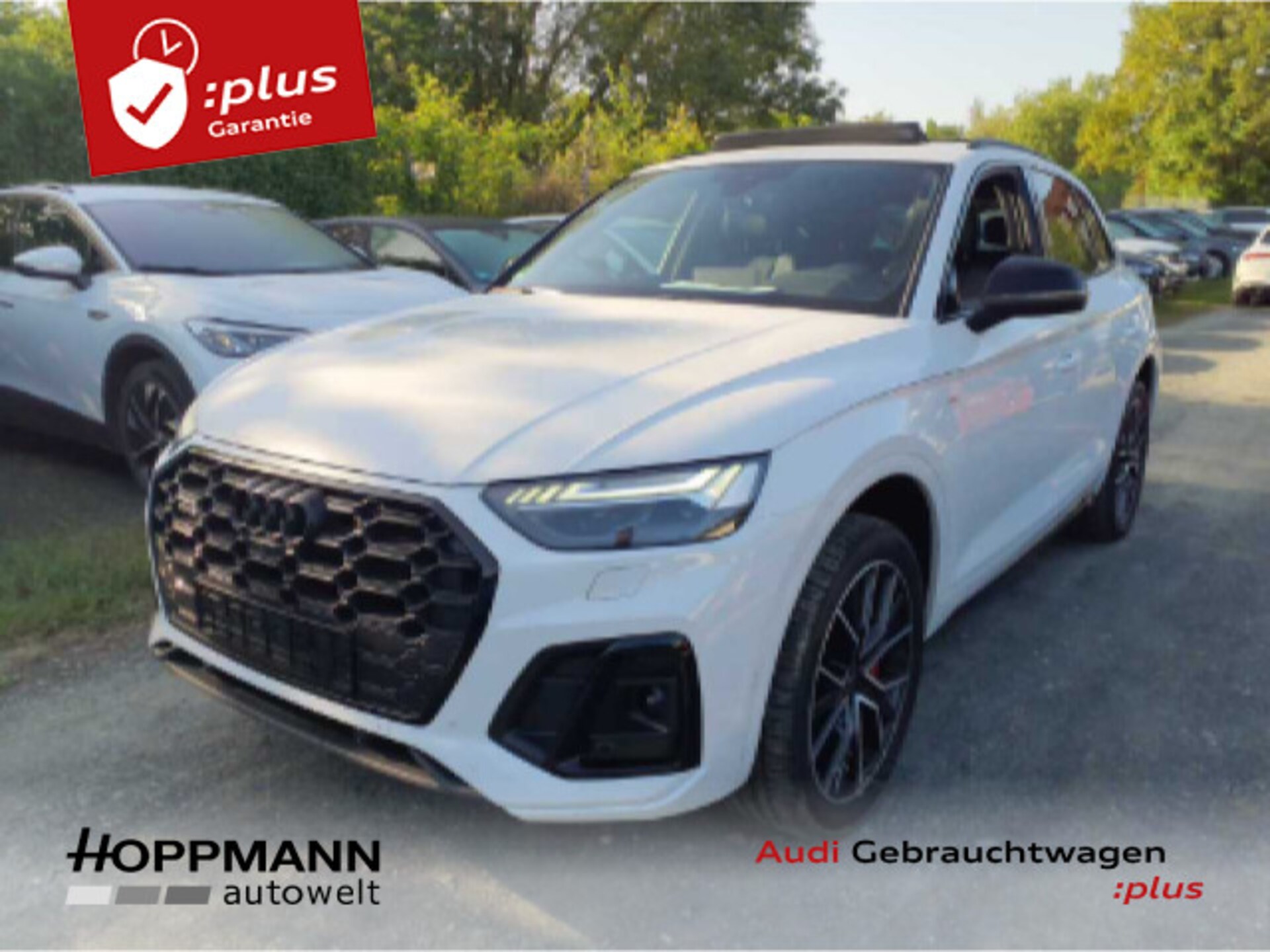 Audi Q5 TFSI e S line