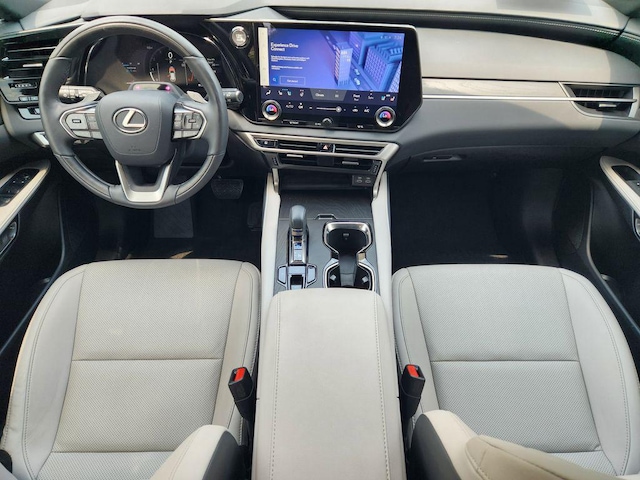 2025 Lexus RX 350 - Photo 30