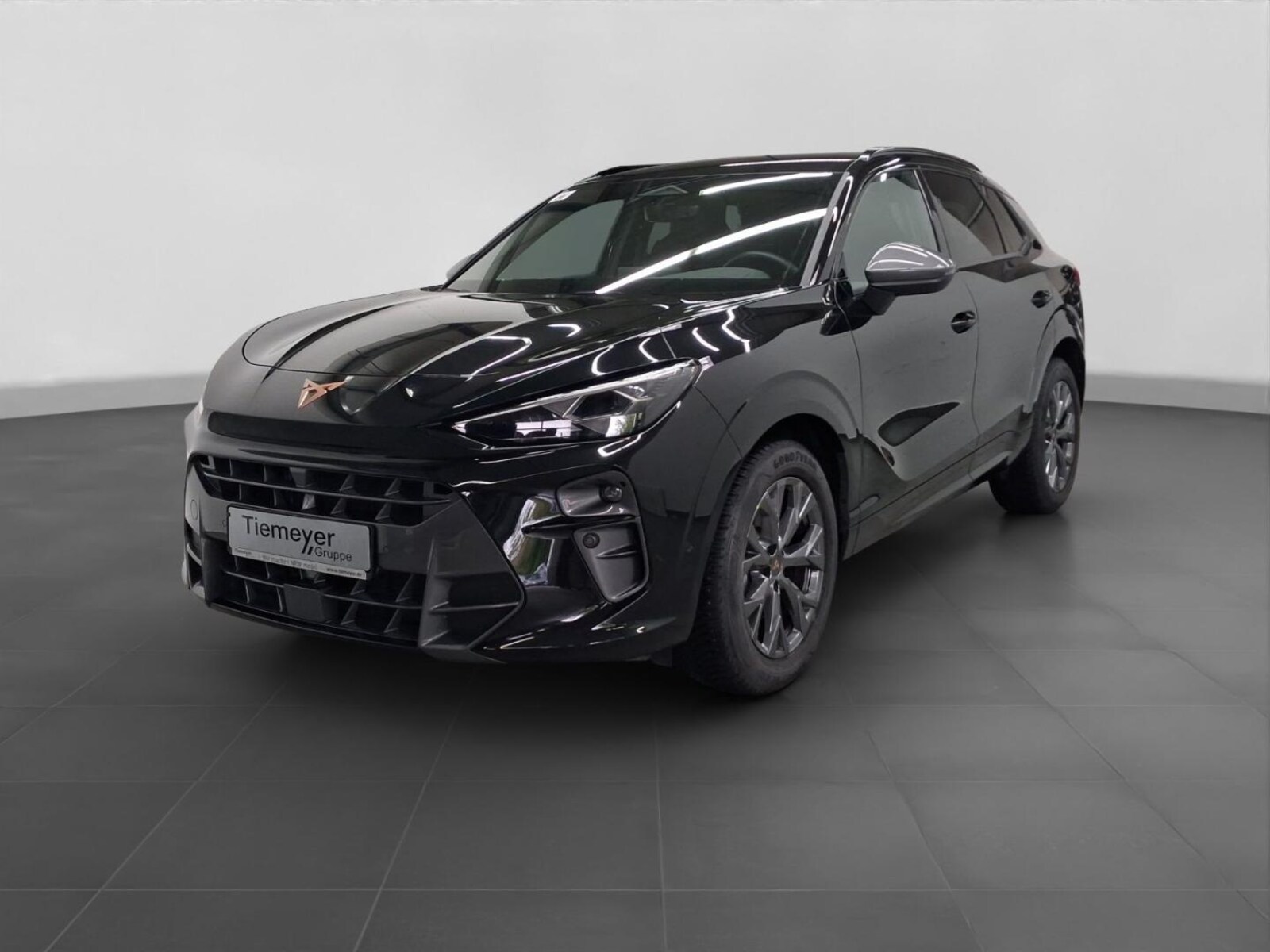 CUPRA Terramar – Bild 2
