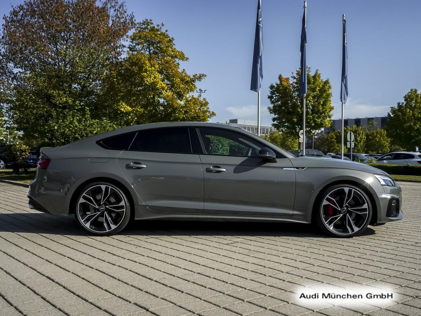 Bild über Audi S5 Sportback TDI quattro tiptronic - für weitere Informationen kontaktieren Sie den Audi Partner