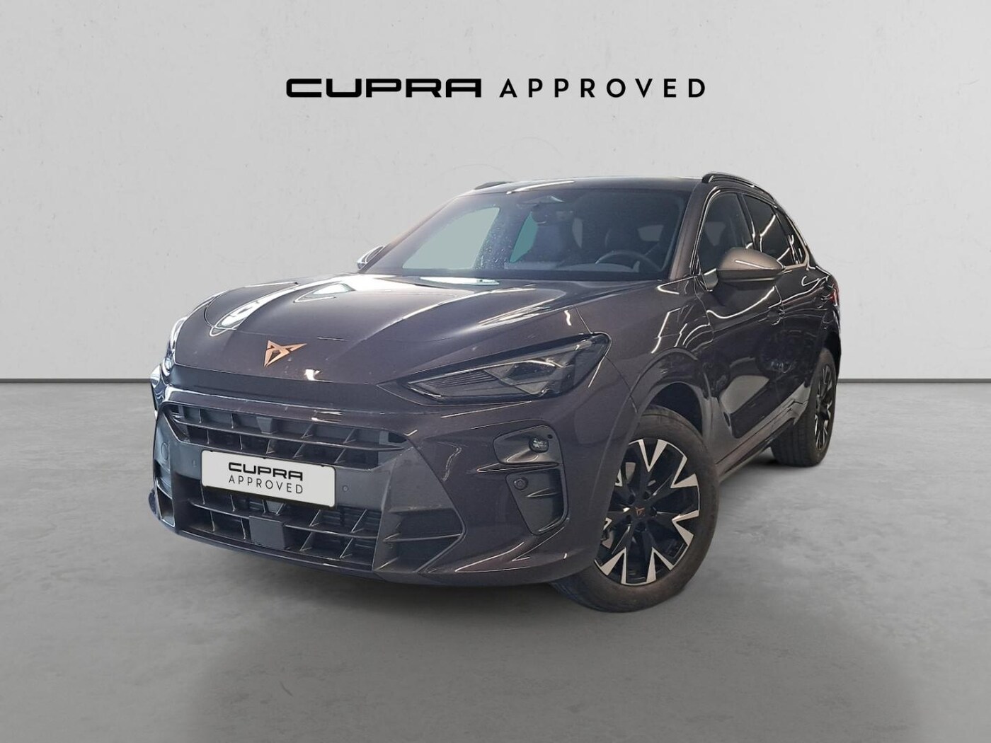 CUPRA Terramar 1.5 TSI e-Hybrid DSG 150 kW (204 CV) — photo 13