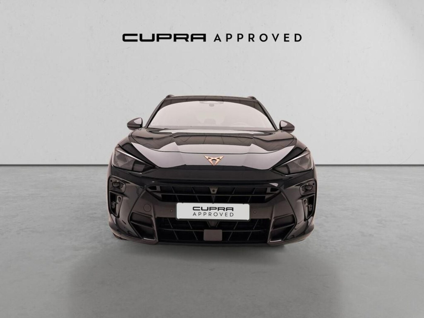 CUPRA Terramar 1.5 eTSI DSG 110 kW (150 CV) — photo 12