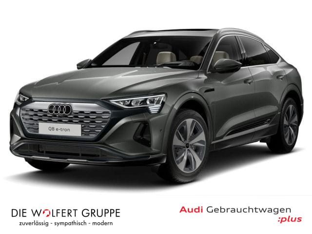 Audi Q8 e-tron occasion