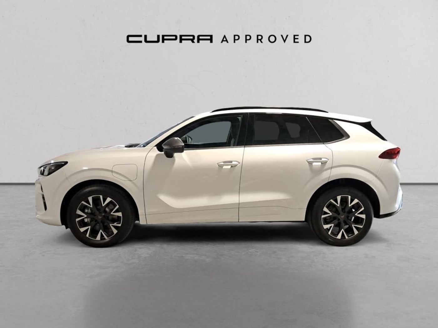 CUPRA Terramar 1.5 TSI e-Hybrid DSG 150 kW (204 CV) — photo 15