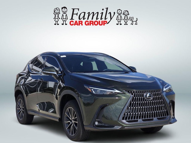 2024 Lexus NX 250
